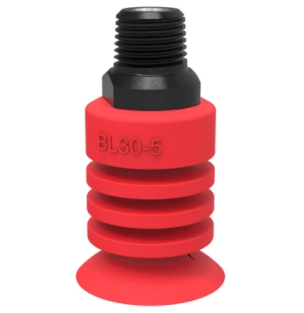 0124516ǲSuction cup BL30-5 Silicone, 1/4NPT male-ǲǲ㲨